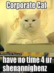 funny-pictures-corporate-cat